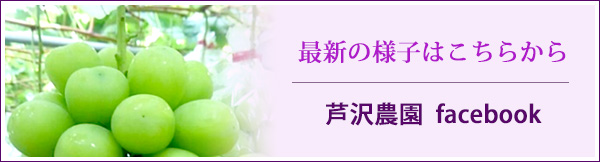 最新情報はFacebookへ