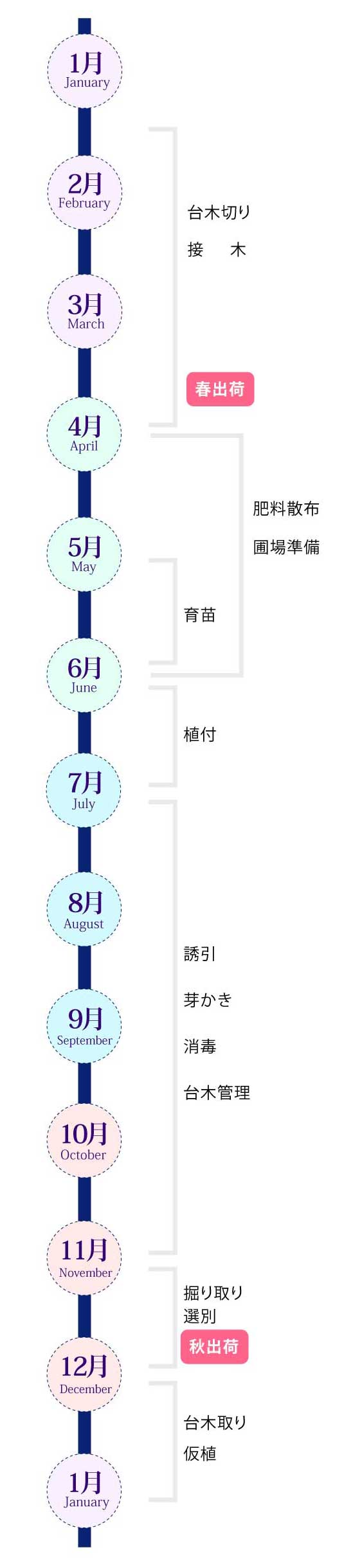 1年の流れ